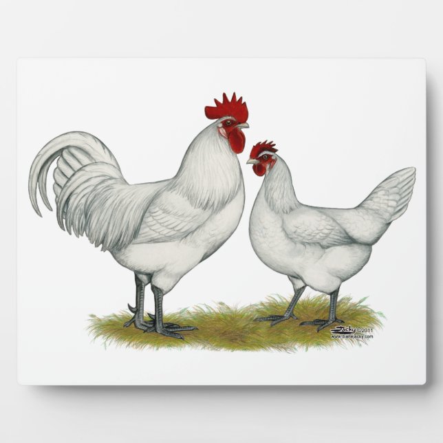 Blue Foot Chickens Plaque (Front)