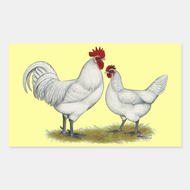 Blue Foot Chickens Rectangular Sticker (Front)