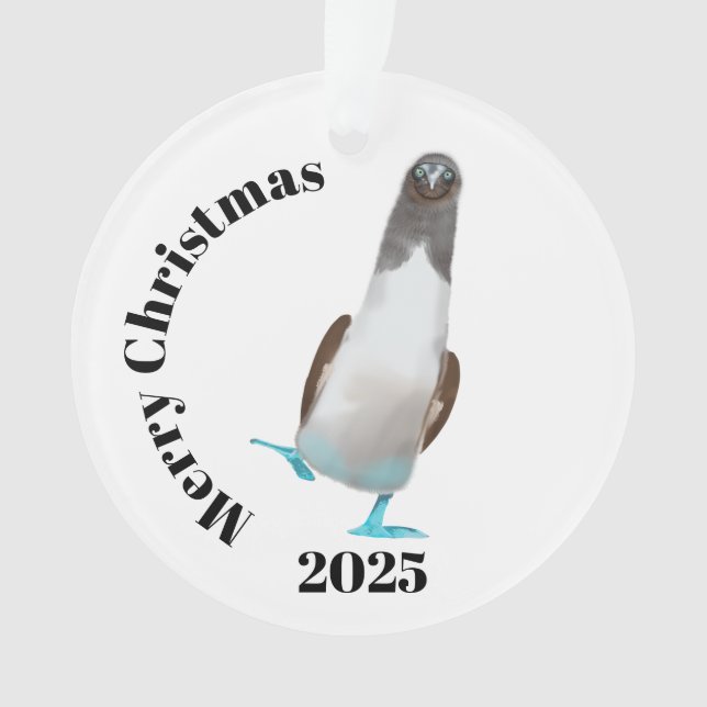 Blue-footed biddy ornament (Front)