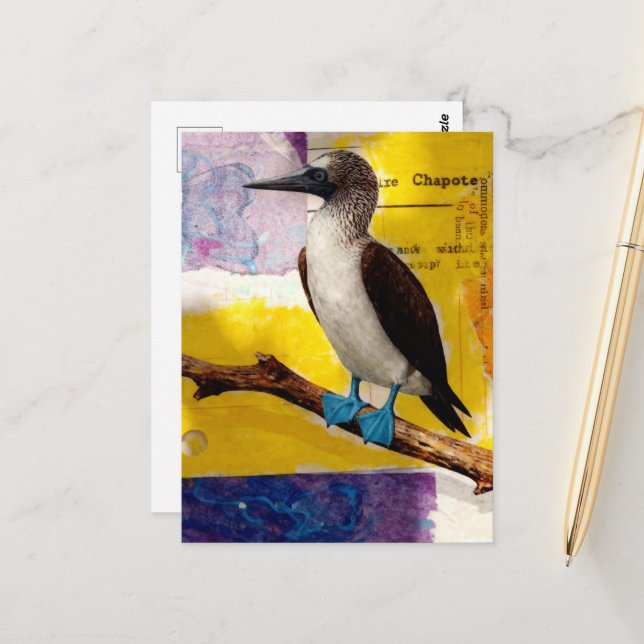 Blue Footed Bird Collage Postcard (Front/Back In Situ)