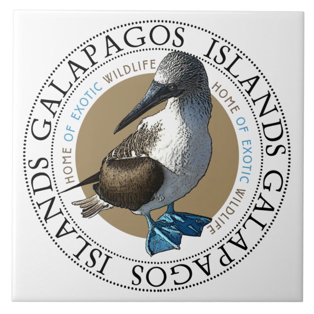 Blue Footed Bird Galapagos Islands Classic Round  Ceramic Tile (Front)
