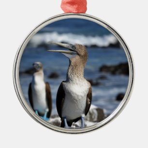 Blue footed Boobies Galapagos Islands Metal Ornament