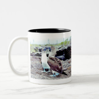 Blue Footed Boobies Native Galapagos Island Bird Two-Tone Coffee Mug