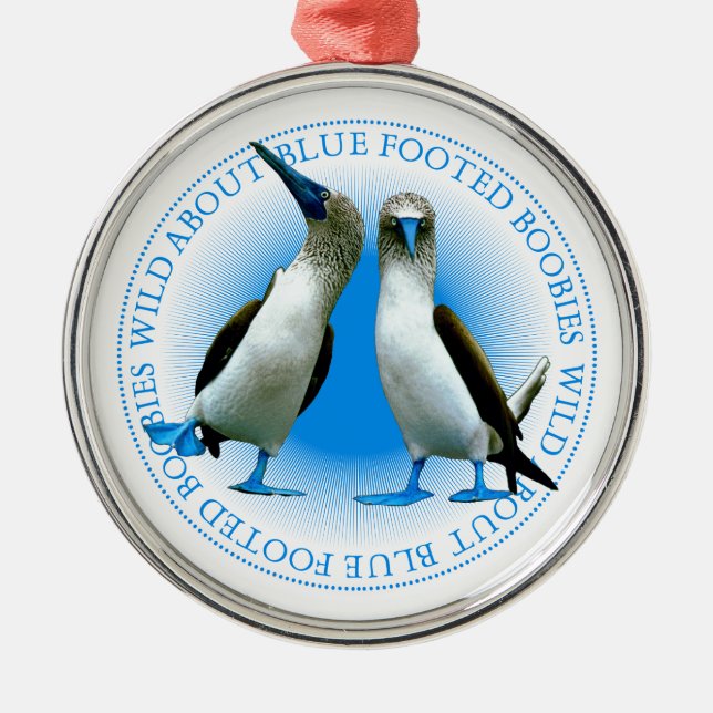 Blue Footed Boobies Of The Galapagos Islands Metal Ornament (Front)