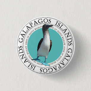 Blue Footed Booby 3 Cm Round Badge