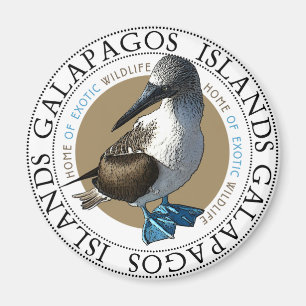 Blue Footed Booby magnet