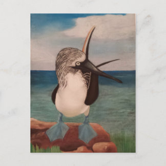 Blue Footed Booby Postcard