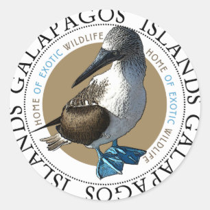 Blue Footed Booby stickers