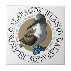 Blue Footed Booby tile
