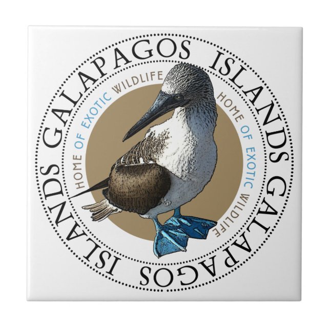 Blue Footed Booby tile (Front)