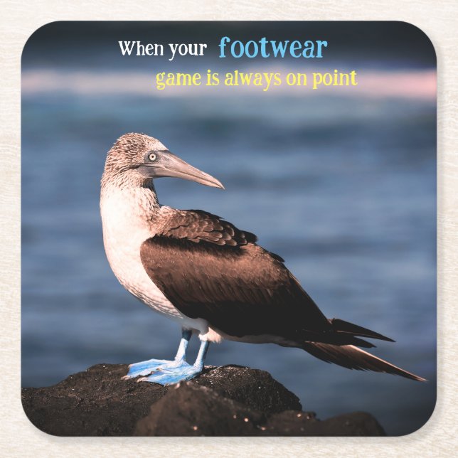 Blue footed gannet  square paper coaster (Front)