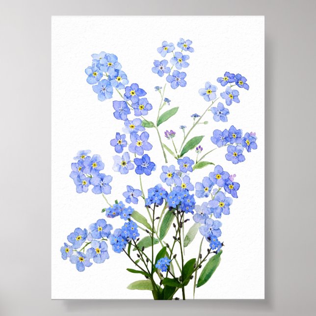 blue forget me not  watercolor  poster (Front)