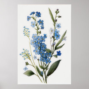 Blue Forget Me Nots Flower Art Print Poster