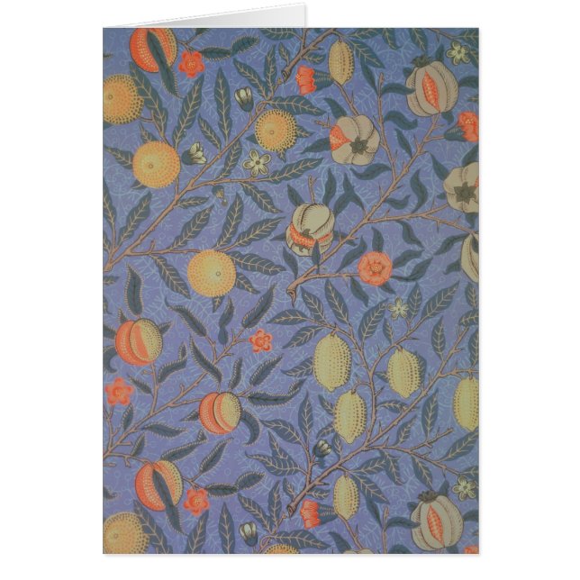 Blue Fruit' or 'Pomegranate' (Front)