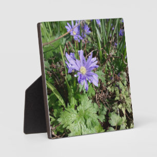 Blue garden flower plaque