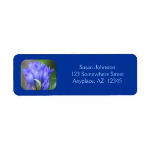 Blue Gentian Flower Address Return Address Label