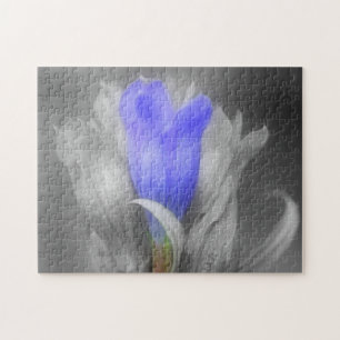 Blue Gentian Flower In Black And White Nature Jigsaw Puzzle