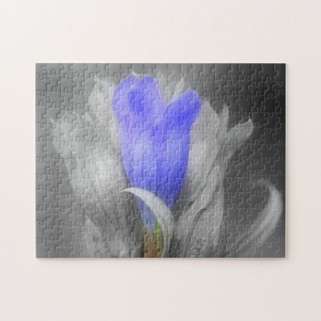 Blue Gentian Flower In Black And White Nature Jigsaw Puzzle (Horizontal)