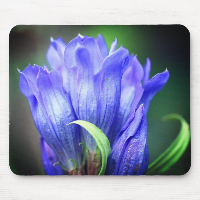 Blue Gentian Flower Mouse Pad (Front)