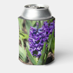 Blue Geocinth in spring Can Cooler