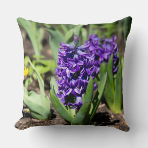 Blue Geocinth in spring Cushion