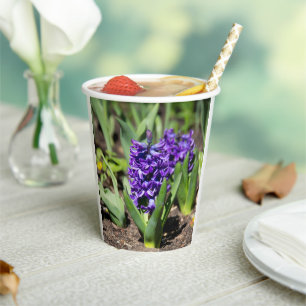 Blue Geocinth in spring Paper Cups