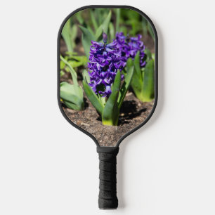 Blue Geocinth in spring Pickleball Paddle