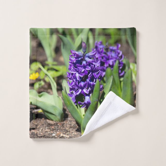 Blue Geocinth in spring      Wash Cloth (Wash Cloth)