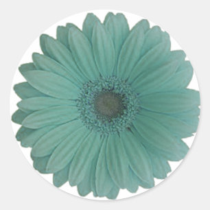 blue gerber daisy classic round sticker