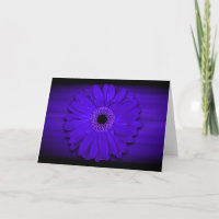 Blue Gerber Daisy Custom Blank Inside Personalise