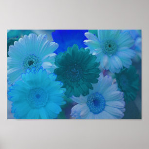 Blue Gerbera Daisy Flowers Wall Art Print Poster
