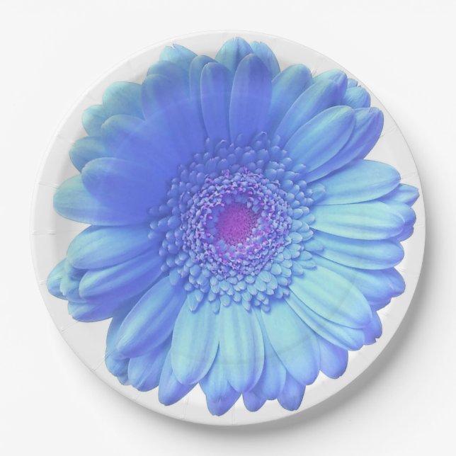 Blue gerbera daisy paper plate (Front)