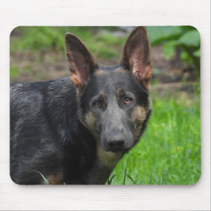 Blue German Shepherd Mouse Pad