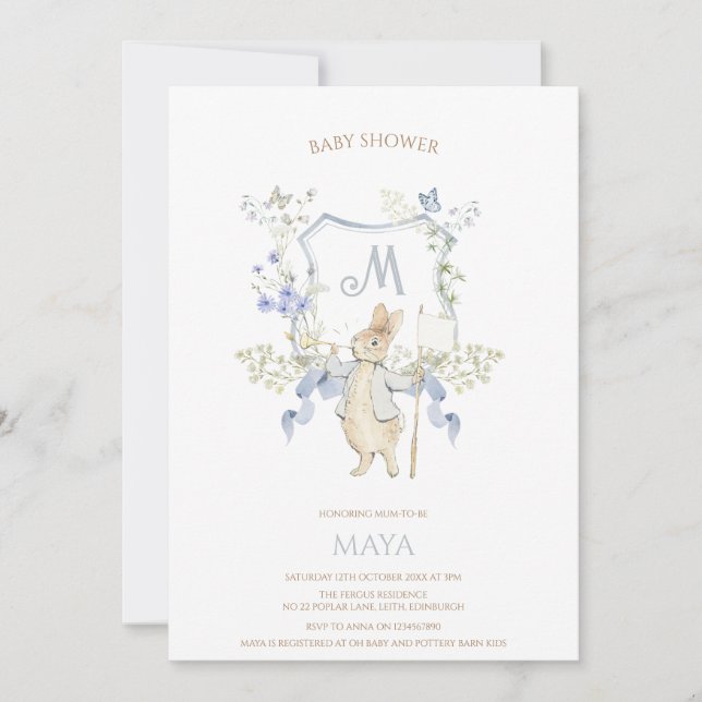 Blue Gingham Peter the Rabbit Baby Shower MUTED BL Invitation (Front)