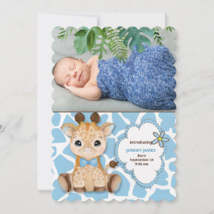 Blue Giraffe Jungle Theme Baby  Announcement