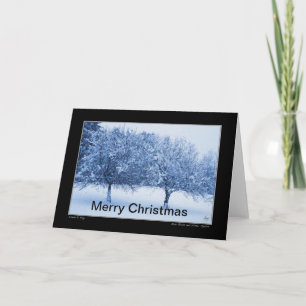 Blue Glass and Winter Apples Christmas Card