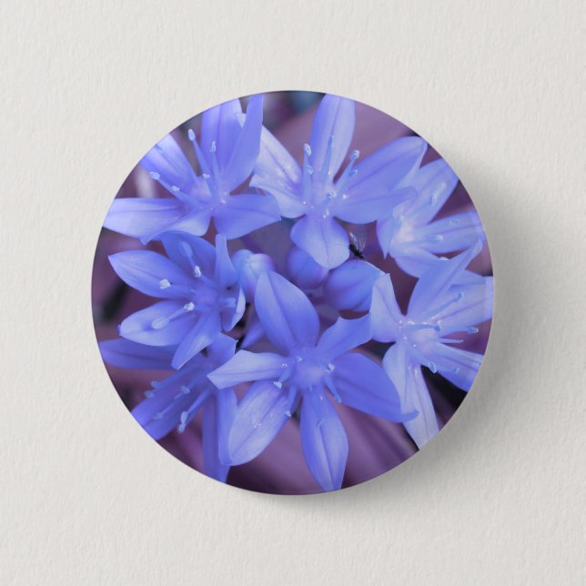 Blue Glory Of The Snow Button (Front)