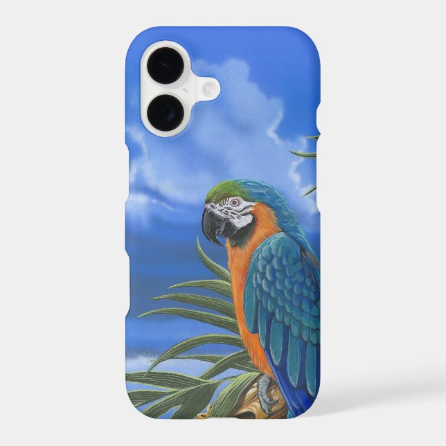 Blue & Gold Macaw (Back)