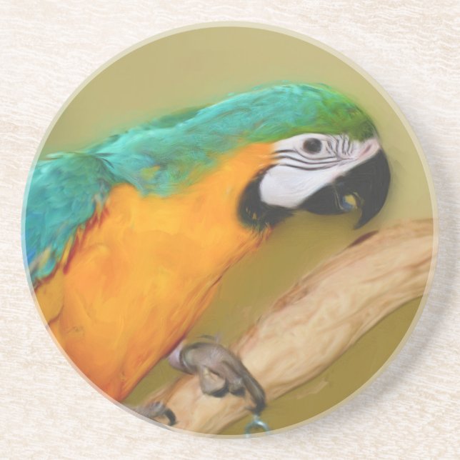 Blue Gold Macaw Parrot Animal Coaster (Front)
