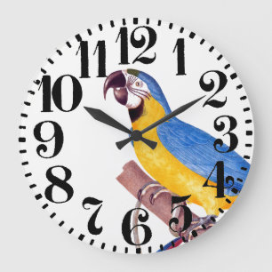 Blue Gold Macaw Parrot Bird Big Number Wall Clock