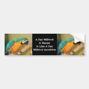 Blue Gold Macaw Parrot Cute Bumper Sticker