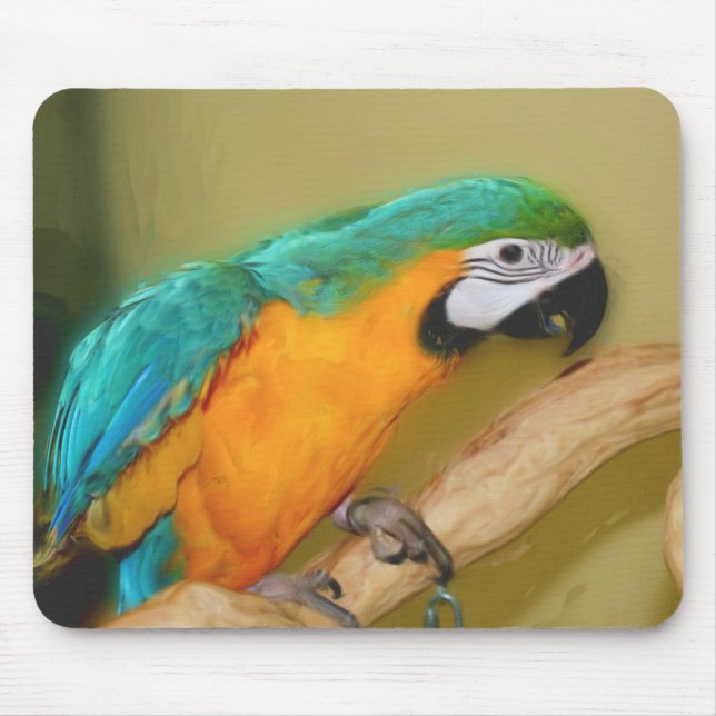 Blue Gold Macaw Parrot Painting Animal Art Mouse Pad (Front)