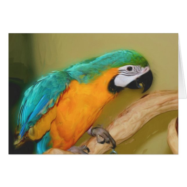 Blue Gold Macaw Parrot Painting Animal Card (Front Horizontal)
