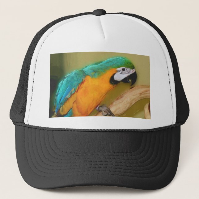 Blue Gold Macaw Parrot Painting Hat (Front)