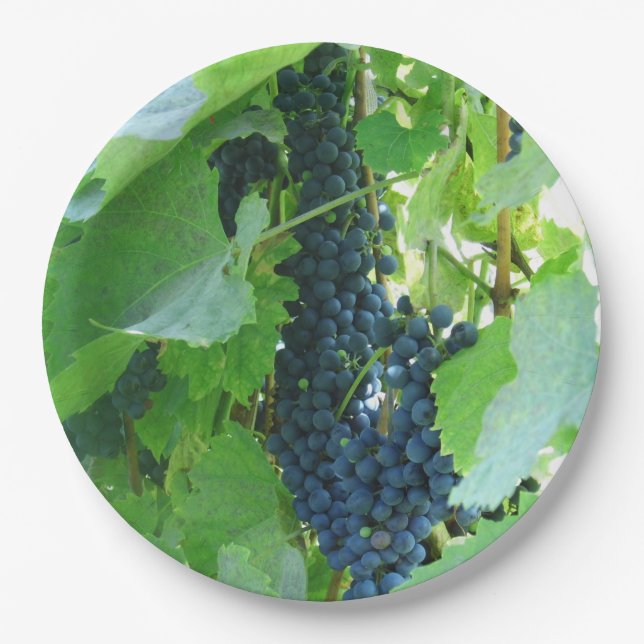 Blue Grapes Paper Plates (Front)