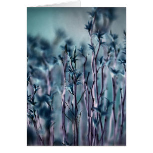 Blue Grass