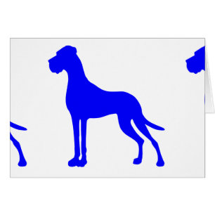Blue Great Dane