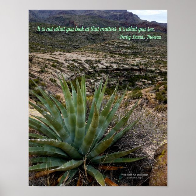 Blue Green Agave Plant in Desert Mountains Arizona Poster (Front)