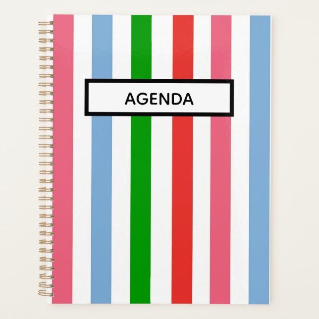 Blue Green and Pink Striped Planner (Front)