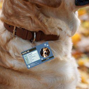 Blue Green Modern Dog ID Tag: Simple and Stylish ID Badge